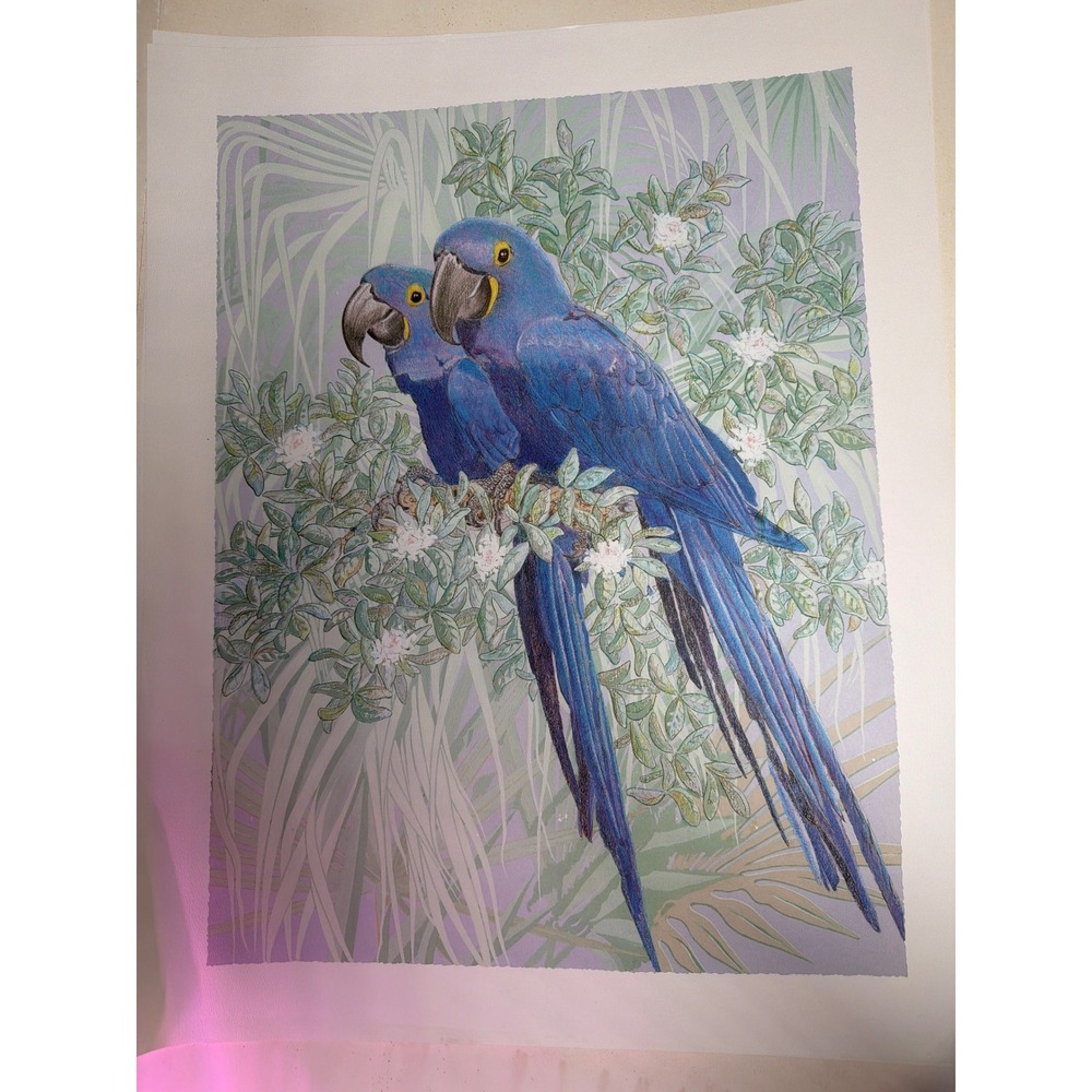 VIBRANT Unbranded Hyacinth Macaw Art Print Unisex 22x28 Blue EXCELLENT
